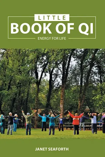Little Book of Qi cover