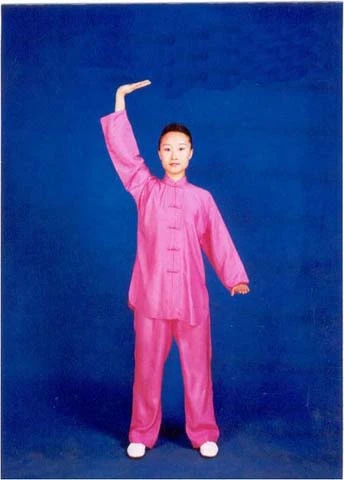 Movement 3: Separating Heaven and Earth (第三式 调理脾胃须单举)