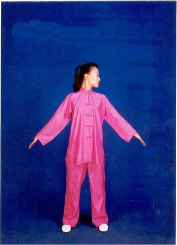 Movement 4: Looking Backwards (第四式 五劳七伤往后瞧)