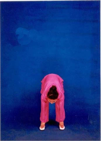 Movement 6: Two Hands Hold the Feet (第六式 两手攀足固肾腰)