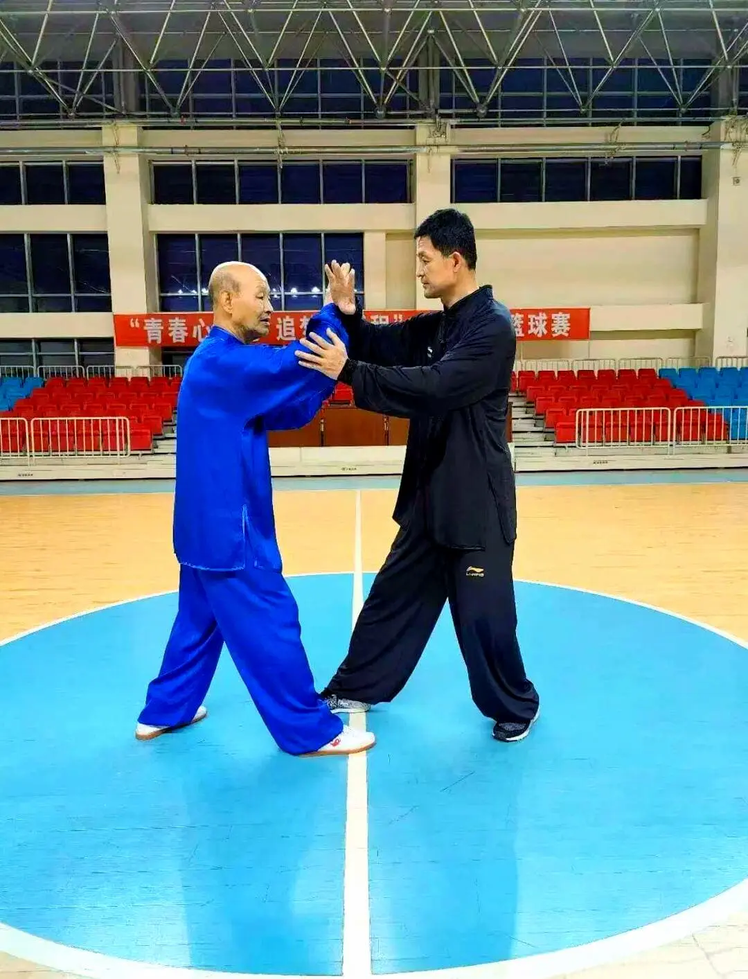 Circle and Point in Tai Chi Push Hands: The Biomechanical System Behind Yielding, Balance, and Effortless Power