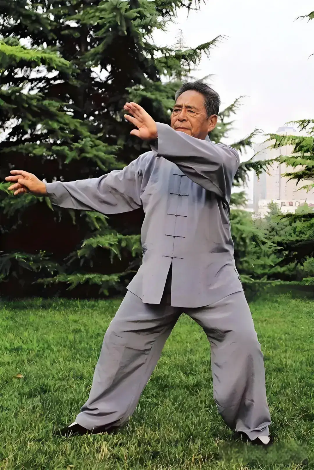 Push Hands as Applied Science: Deconstructing the Ancient Wisdom of Tai Chi Push Hands for Biomechanical Efficiency