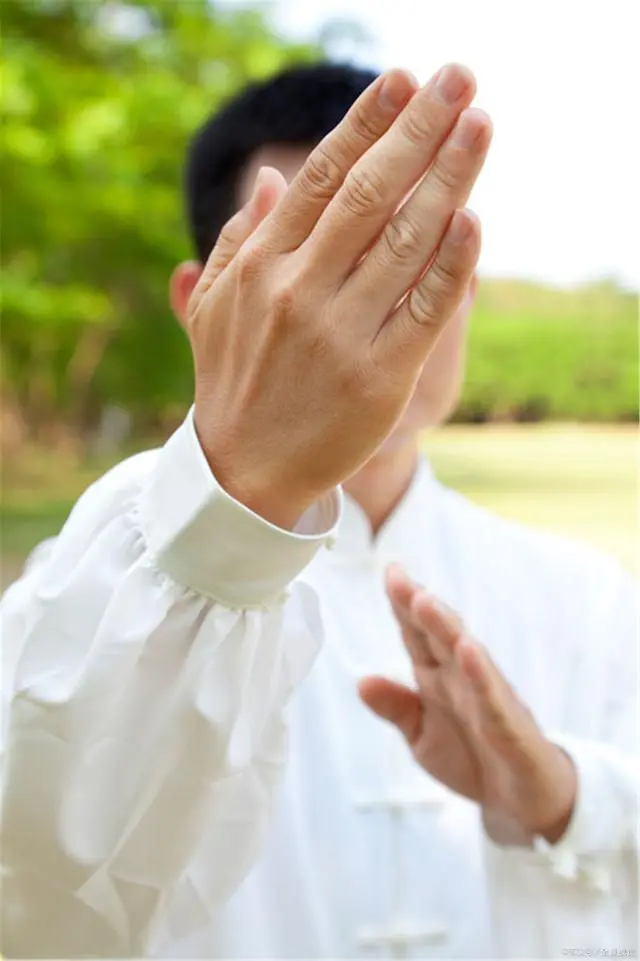 Leading Hand & Striking Hand in Tai Chi Push Hands