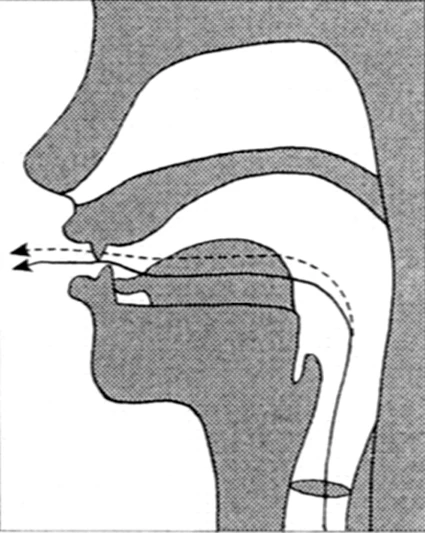 Sound #1: Xū (Shhh-ee) – For Your Liver & Letting Go