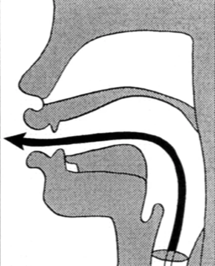Sound #3: Hū (Who) – For Your Digestion & Stability