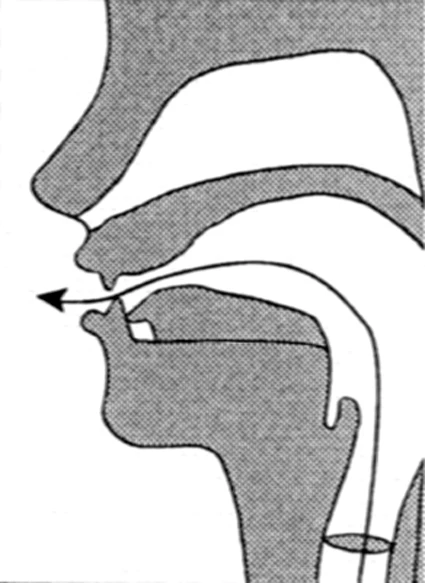 Sound #4: Sī (Sss) – For Your Lungs & Immunity