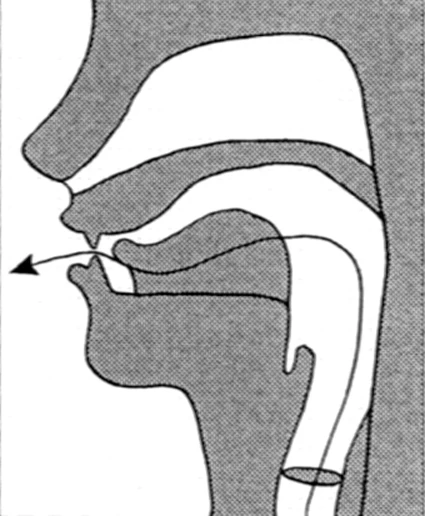 Sound #5: Chuī (Ch-way) – For Your Kidneys & Core Power