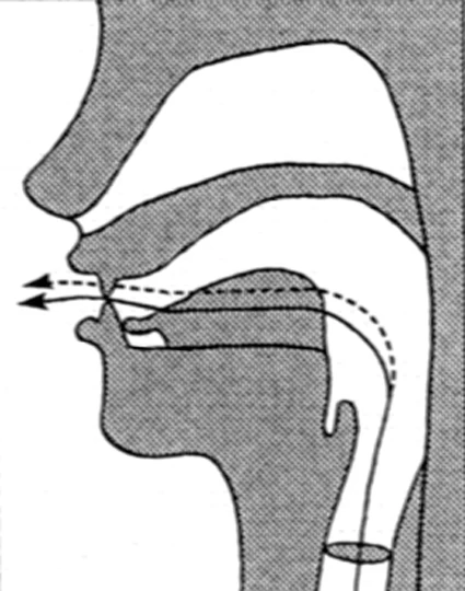 Sound #6: Xī (Shee) – For Your Triple Warmer & Total Balance