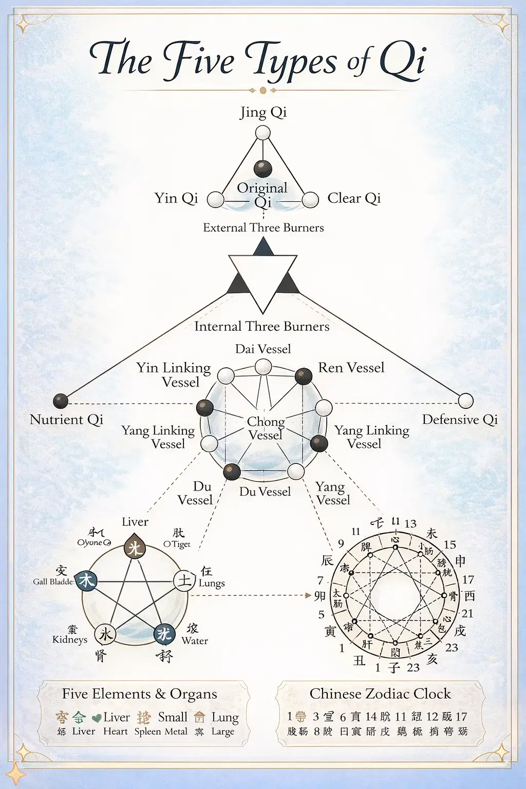 Traditional Chinese Medicine diagram illustrating how Qi functions within the classical energetic system, including meridians, organ relationships, and the broader theoretical framework of Qi transformation.