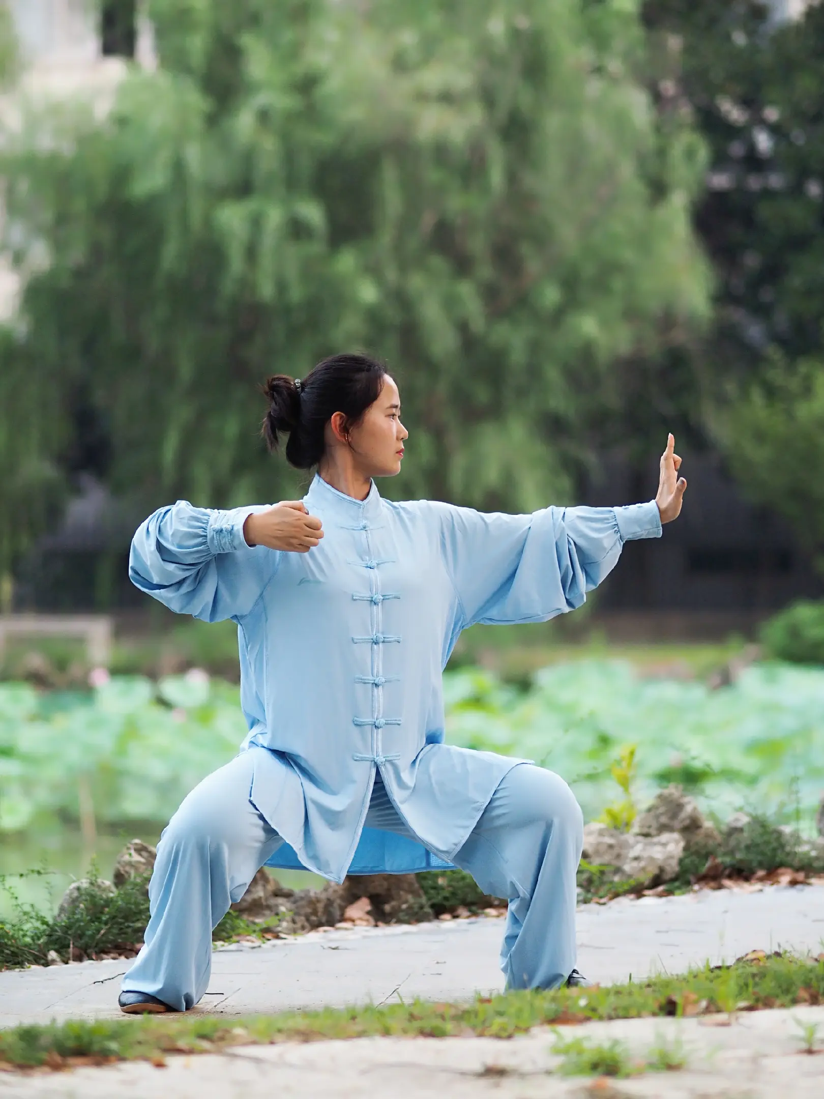 Qigong vs Tai Chi vs Meditation