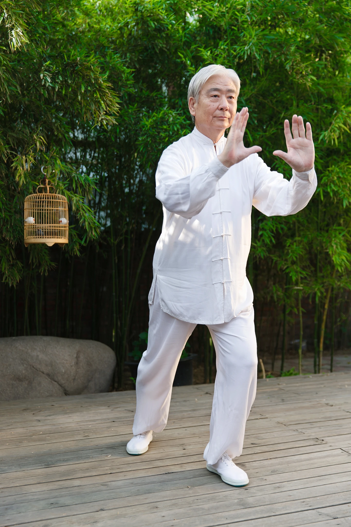 The Five Essential Principles of Tai Chi: A Deep Dive into Tranquility, Agility, and Mastery