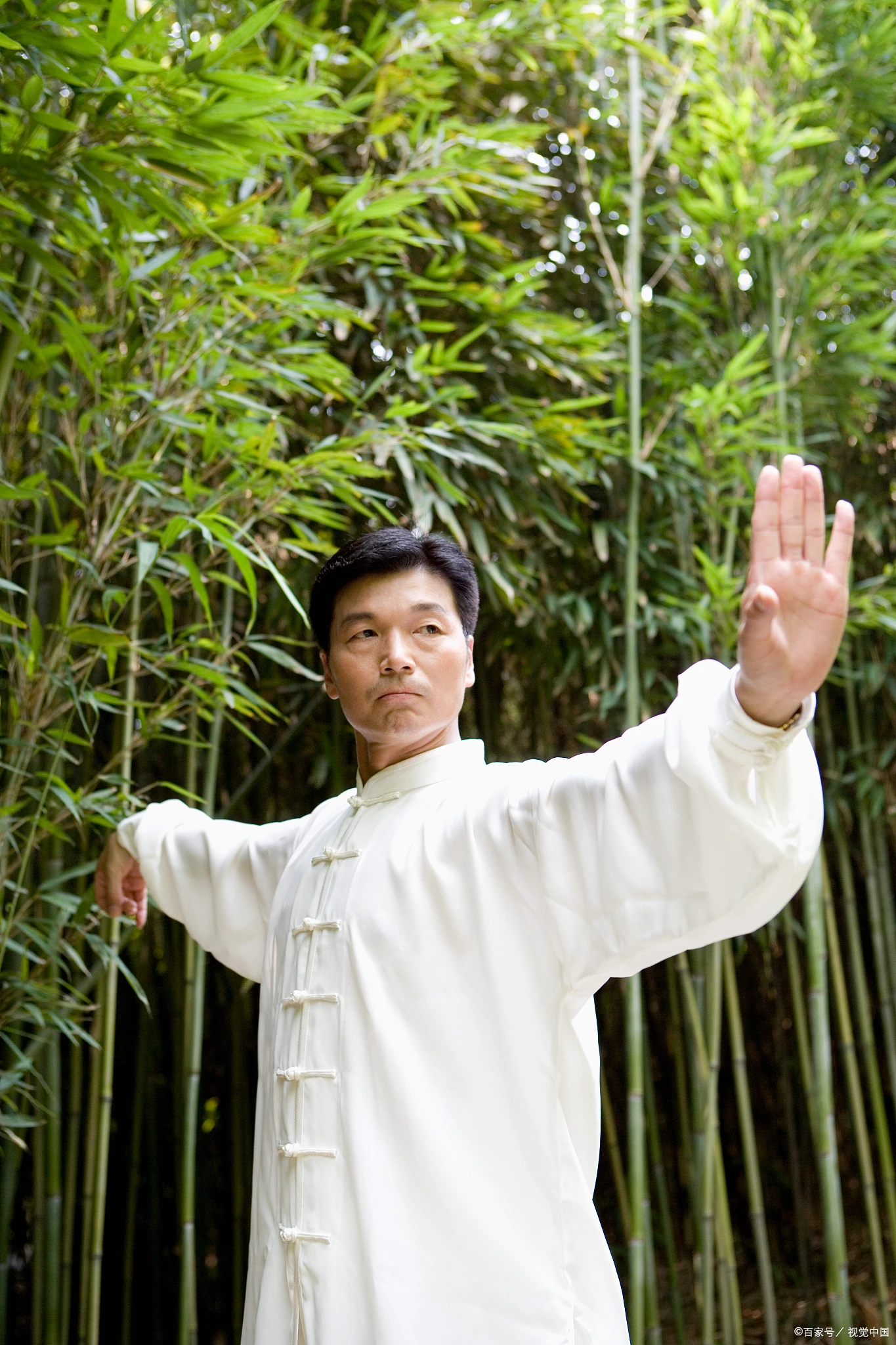 Tai Chi vs. Baduanjin: A Science-Based Comparison for Optimal Fitness and Health