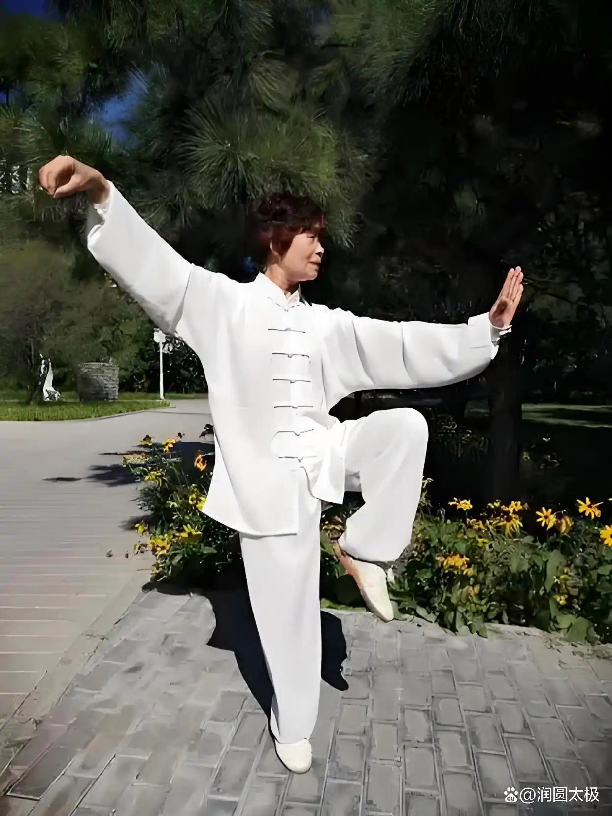 Tai CHi Common Mistakes Seniors Should Avoid