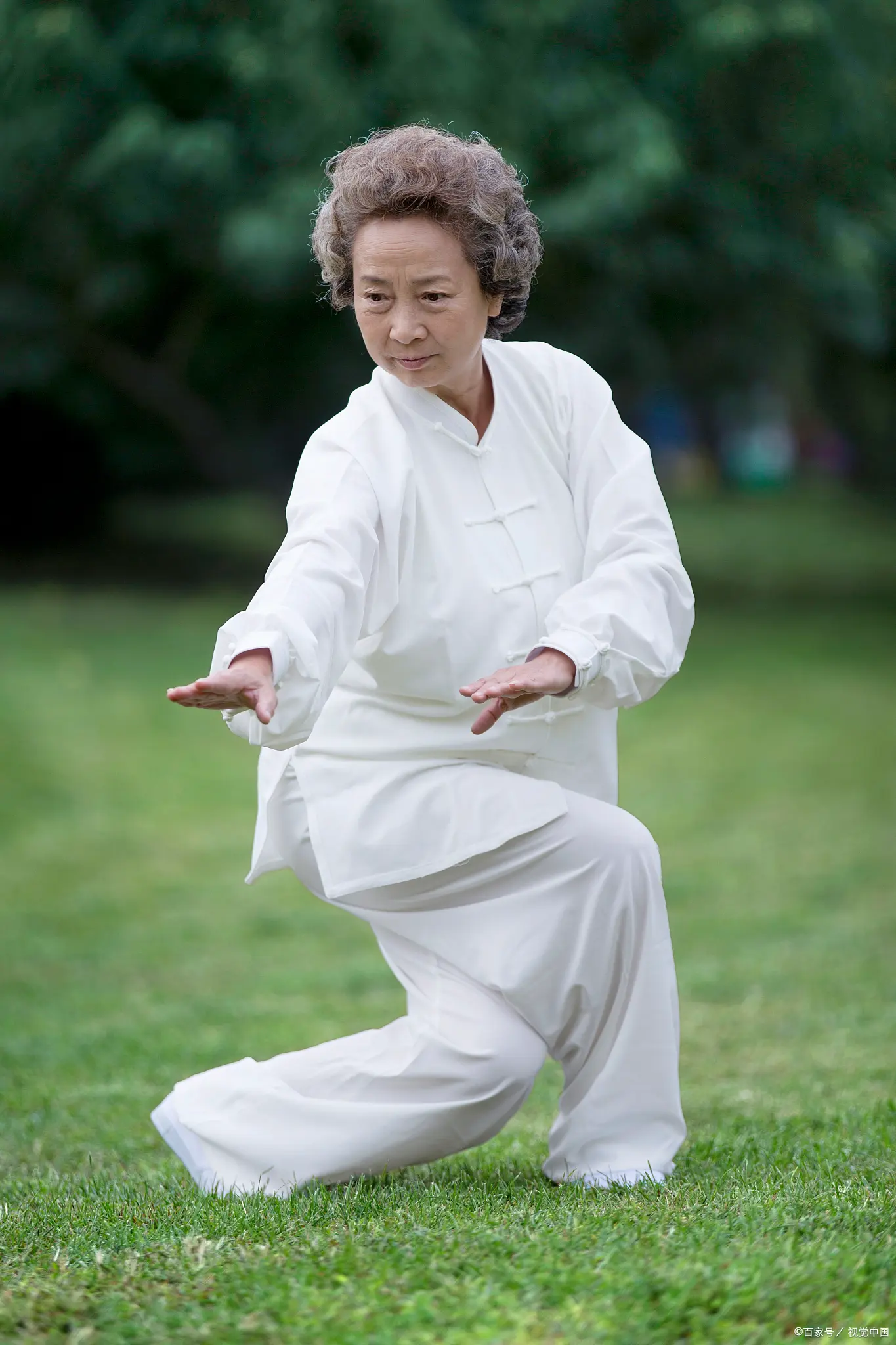 Is Tai Chi Walking Safe for Knees? A Biomechanical & Medical Perspective