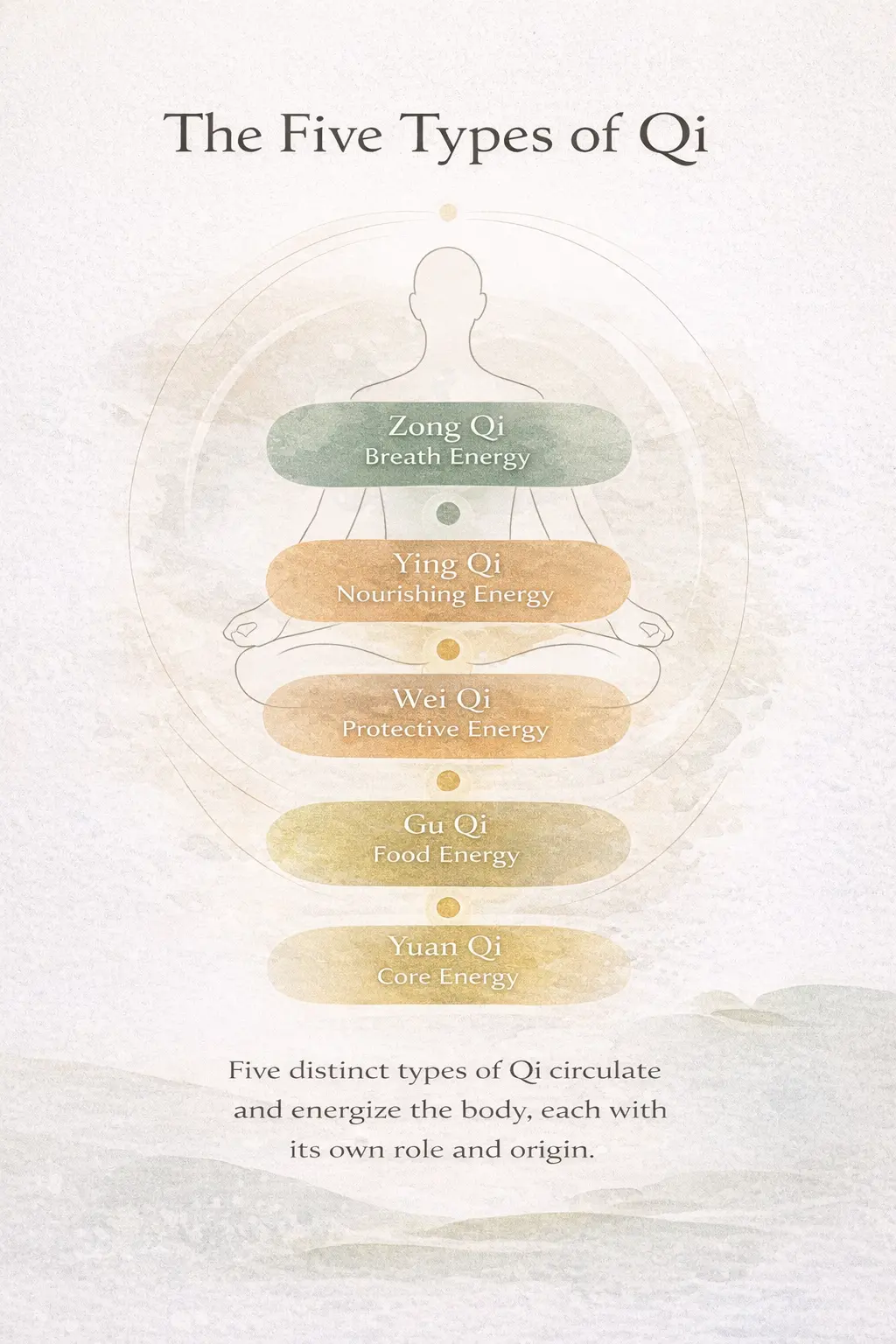 Diagram showing the five types of Qi in Qigong and Traditional Chinese Medicine — Yuan Qi, Gu Qi, Zong Qi, Ying Qi, and Wei Qi — illustrated as functional energy layers within the human body.