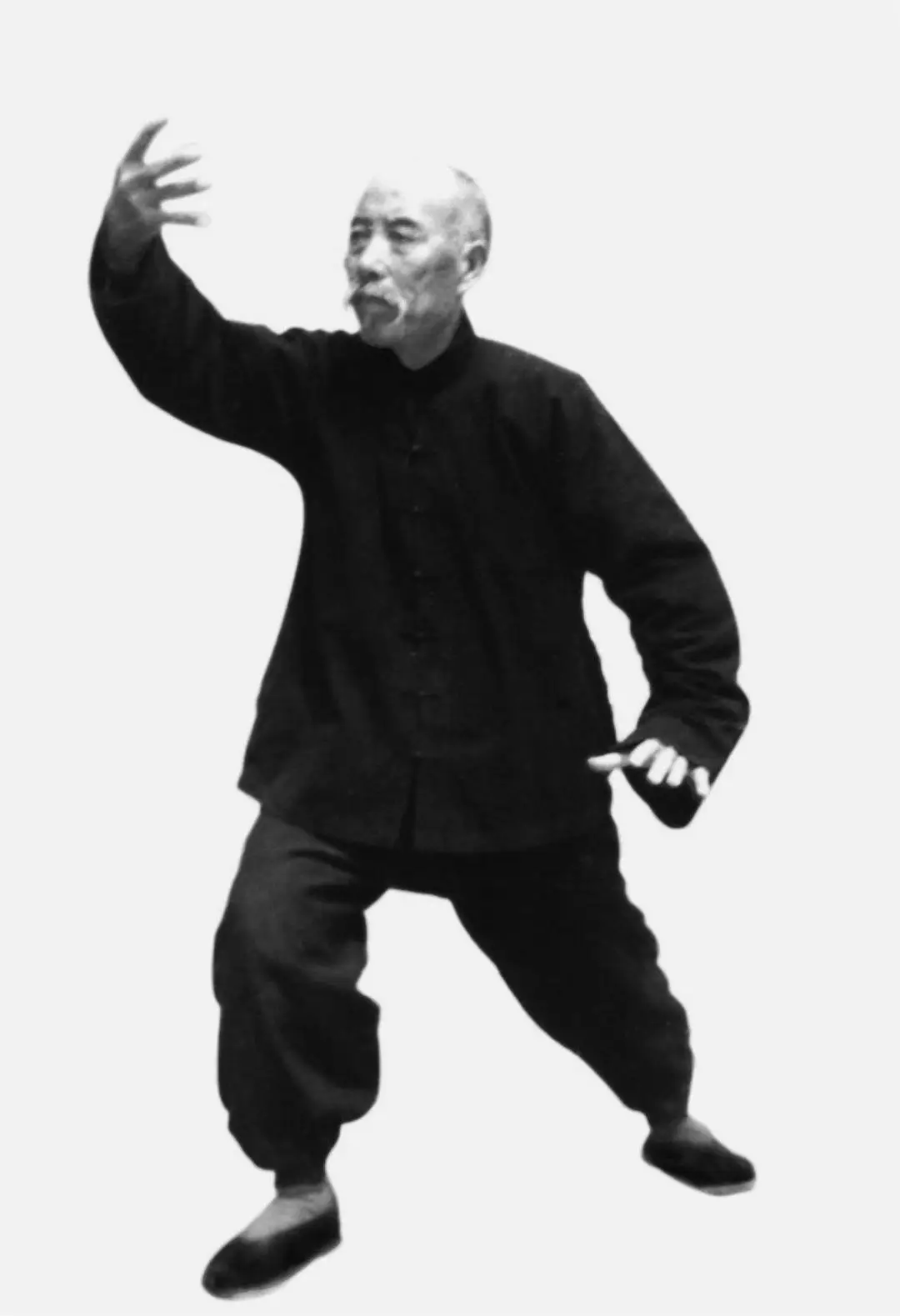 Discover Wang Qihe Tai Chi: The Art of Flow and Inner Strength
